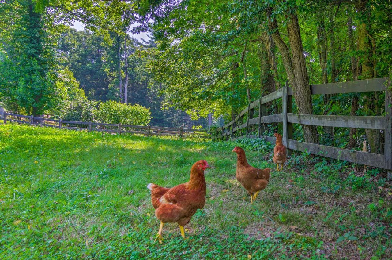 Rustic Hendersonville Farm Studio With Private Deck Εξωτερικό φωτογραφία