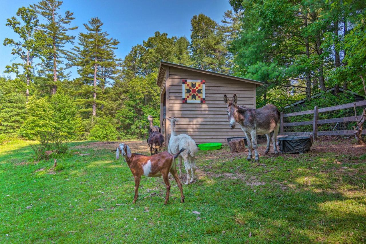 Rustic Hendersonville Farm Studio With Private Deck Εξωτερικό φωτογραφία